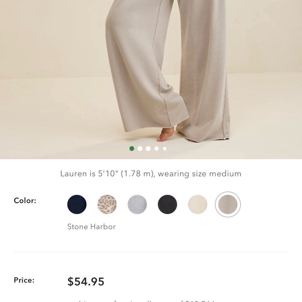 Aerie Street Trouser Wide-Leg Pants